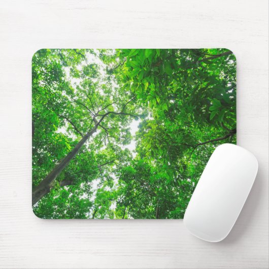 Tapis De Souris Vue vers le haut des arbres (Avec souris)