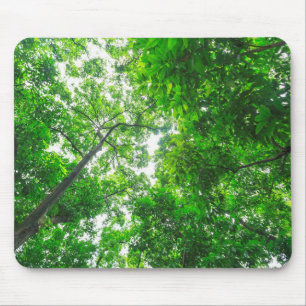 Tapis De Souris Vue vers le haut des arbres