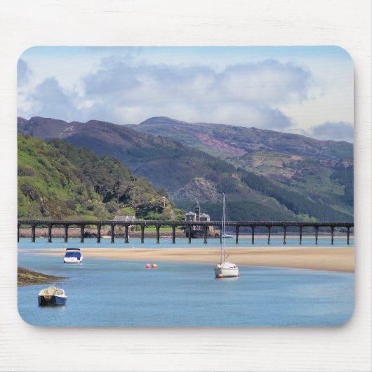 TAPIS DE SOURIS VUES DES ALLES (Devant)