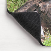 TAPIS DE SOURIS VULTURE (Coin)