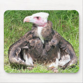 TAPIS DE SOURIS VULTURE (Devant)