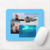 Tapis De Souris Walrus, Ours Polaire, Mousepad, Lion De Mer (Avec souris)