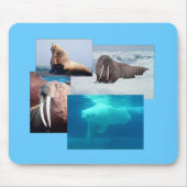 Tapis De Souris Walrus, Ours Polaire, Mousepad, Lion De Mer (Devant)