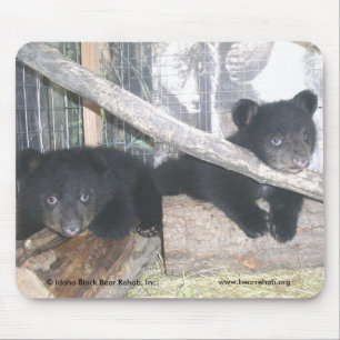 Tapis De Souris Washington jumelle Mousepad 2009