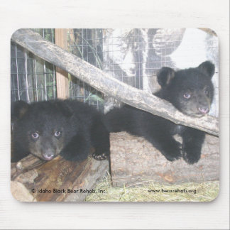 Tapis De Souris Washington jumelle Mousepad 2009