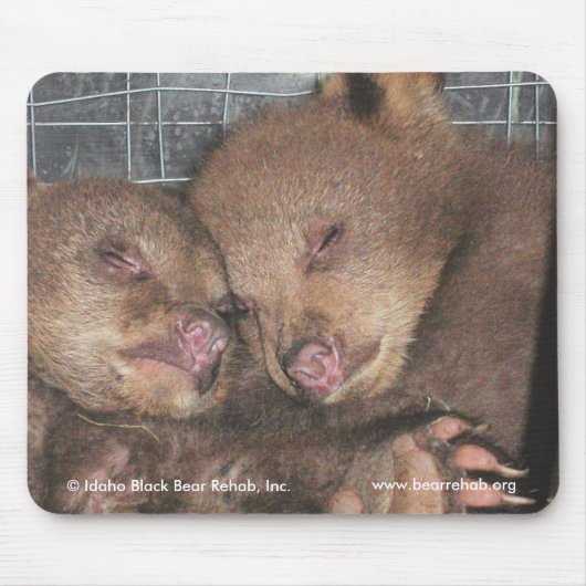Tapis De Souris Washington jumelle Mousepad 2010 (Devant)