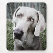 Tapis De Souris Weimaraner (Devant)