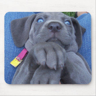 Tapis De Souris weimeraner de bleus layette