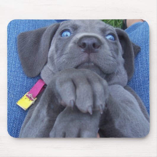 Tapis De Souris weimeraner de bleus layette (Devant)