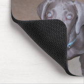 Tapis De Souris weimeraners (Coin)