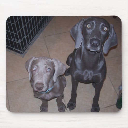 Tapis De Souris weimeraners (Devant)