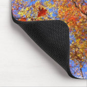 Tapis De Souris West Mt. Autumn Hot Springs National Park Cadfts (Coin)