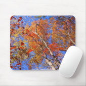 Tapis De Souris West Mt. Autumn Hot Springs National Park Cadfts (Avec souris)