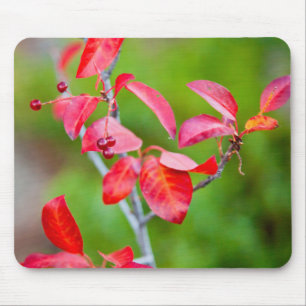 Tapis De Souris Western Choke Cherry (Prunus Virginiana) À L'Auto