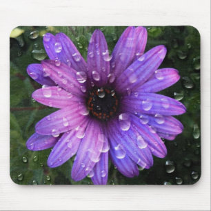 Tapis De Souris Western Country garden matin Dew mauve daisy