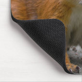 Tapis De Souris Whatcha a obtenu ? (Coin)