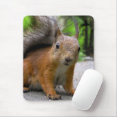 Tapis De Souris Whatcha a obtenu ? (Avec souris)