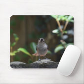 Tapis De Souris Whatcha Doin (Avec souris)