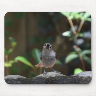 Tapis De Souris Whatcha Doin