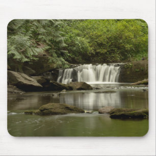 Tapis De Souris Whatcom Falls Park