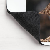 Tapis De Souris Whimbrel (Coin)