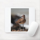Tapis De Souris Whimbrel (Avec souris)