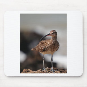 Tapis De Souris Whimbrel