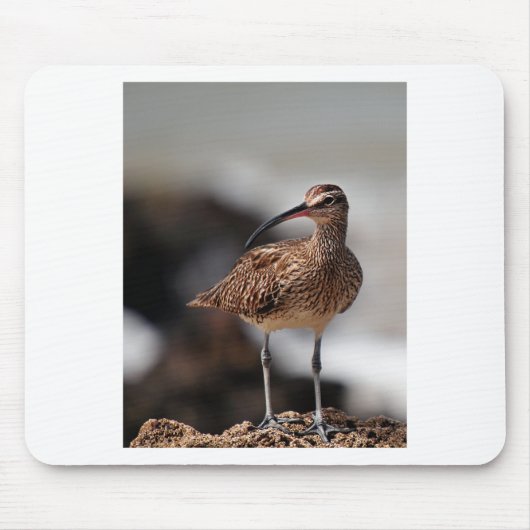 Tapis De Souris Whimbrel (Devant)
