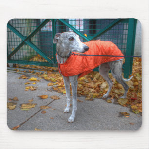 Tapis De Souris Whippet à la mode