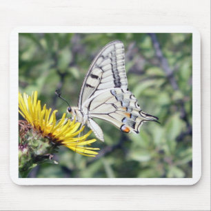 Tapis De Souris White and Black Butterfly on Yellow Flower