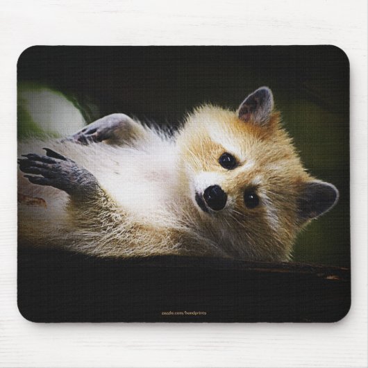 Tapis De Souris White Blond Raccoon Animaux mignons (Devant)