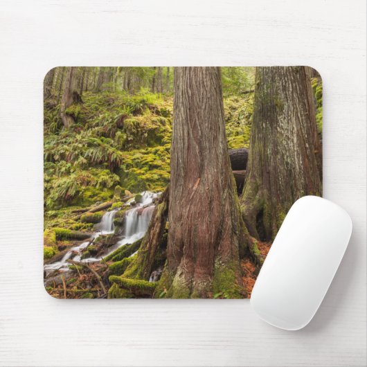 Tapis De Souris White Branch Falls, Oregon Cascades, Oregon (Avec souris)