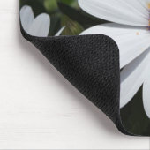 Tapis De Souris White Daisy's in Bloom (Coin)