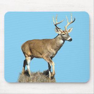 Tapis De Souris White Tailed Deer Buck