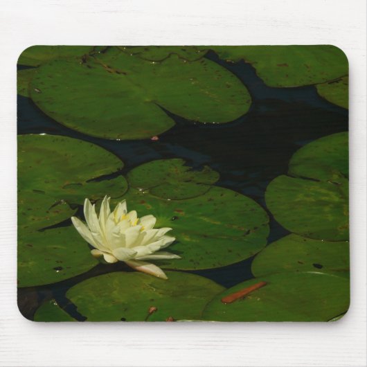 Tapis De Souris White Waterlily I Peaceful (Devant)