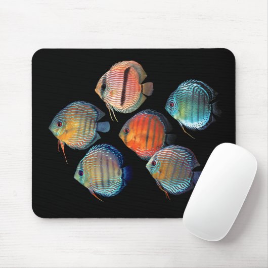 Tapis De Souris Wild Discus (Avec souris)