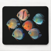 Tapis De Souris Wild Discus (Devant)