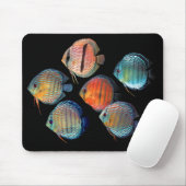 Tapis De Souris Wild Discus (Avec souris)