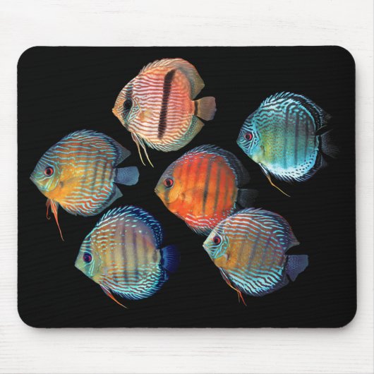 Tapis De Souris Wild Discus (Devant)