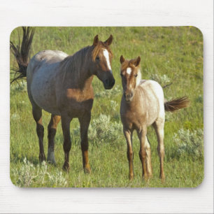 Tapis De Souris Wild Horses North Dakota