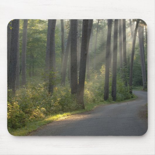Tapis De Souris Wilderness Drive, Itasca State Park, (Devant)