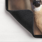 Tapis De Souris Wildlife Whitetail Deer Doe Portrait (Coin)