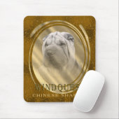 Tapis De Souris Windquest CSP (Avec souris)