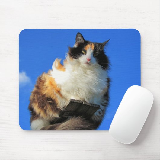 Tapis De Souris Windy ici (Avec souris)