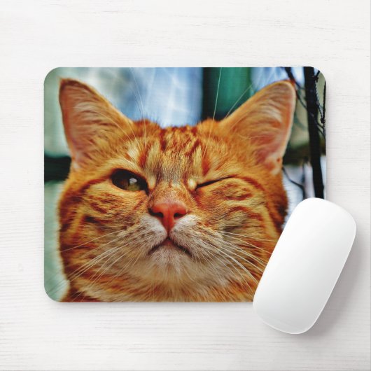 Tapis De Souris Wink kitty (Avec souris)