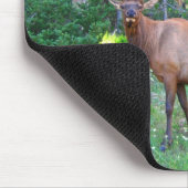 Tapis De Souris Winkypad (Coin)
