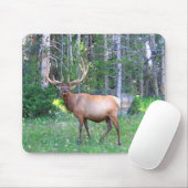 Tapis De Souris Winkypad (Avec souris)