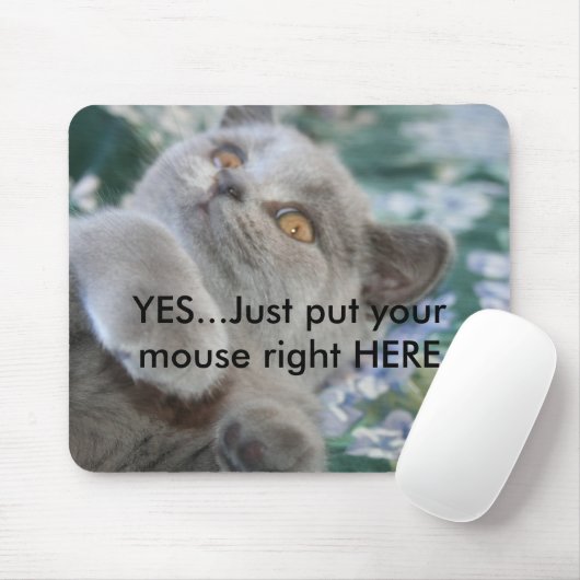Tapis De Souris Winston le chat Mousepad (Avec souris)