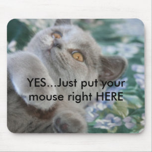 Tapis De Souris Winston le chat Mousepad