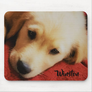 Tapis De Souris Winston le chiot de golden retriever, Mousepad